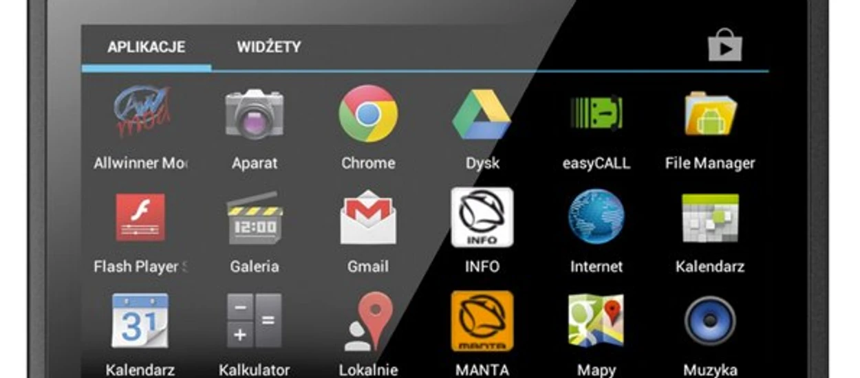 Manta sprzedała 100 tysięcy tabletów w Polsce i.... komentarze