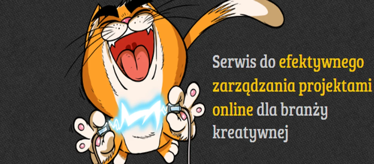 DraftCat - bo liczy się podejście do blogera! 