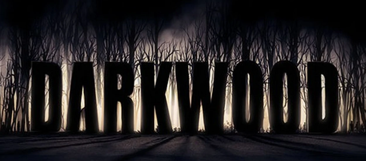 Twórcy "Darkwood" o swojej grze i zbiórce na Indiegogo - "5% odwiedzających naszą stronę to Polacy"