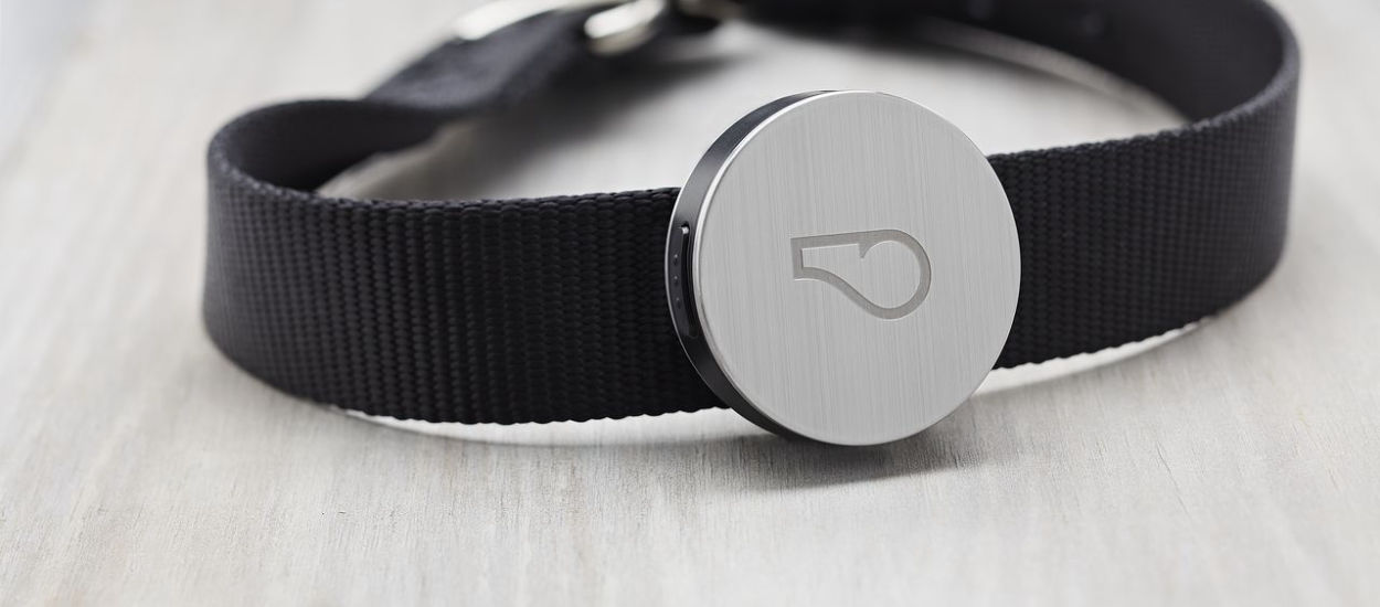 Nosisz smartwatcha, fitness tracker, a Twój pies będzie nosił WhistleGPS