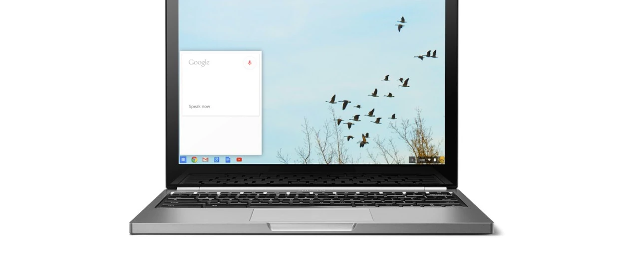 Skąd taka decyzja...? Nie będzie nowych laptopów z serii Pixel