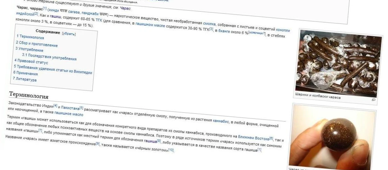 Rosjanie zablokowali Wikipedię i... szybko musieli wycofać się z tej decyzji