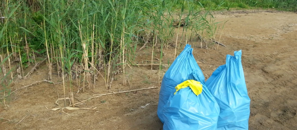 Odkryto bakterie "jedzące" plastik. Nie wiem, czy jest się z czego cieszyć