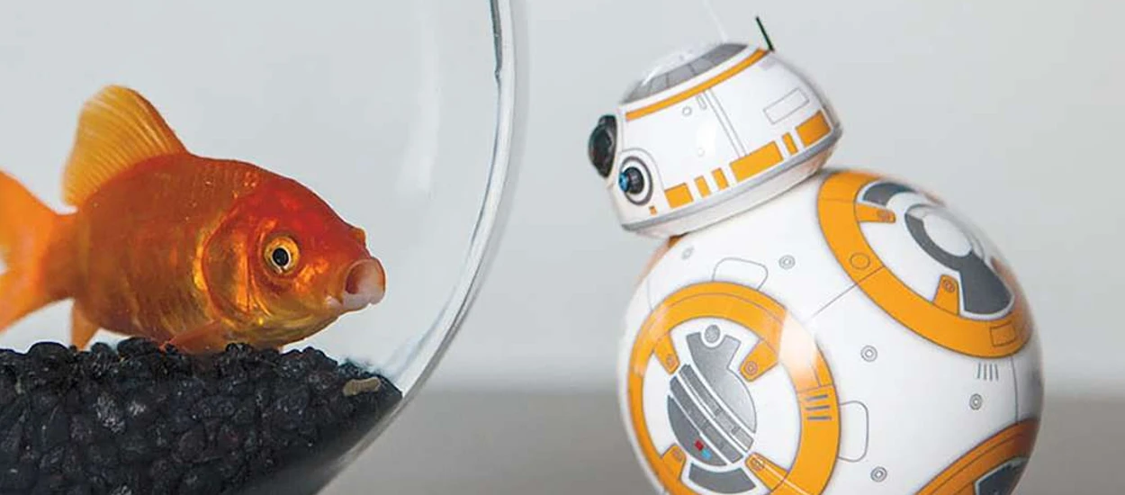 Gadżet dla fanów Gwiezdnych Wojen? Stawiam na BB-8 od Sphero