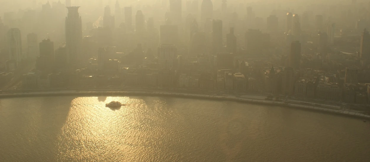 Smog nie jest zagrożeniem teoretycznym. Przecież powołano policję do walki z tym problemem...