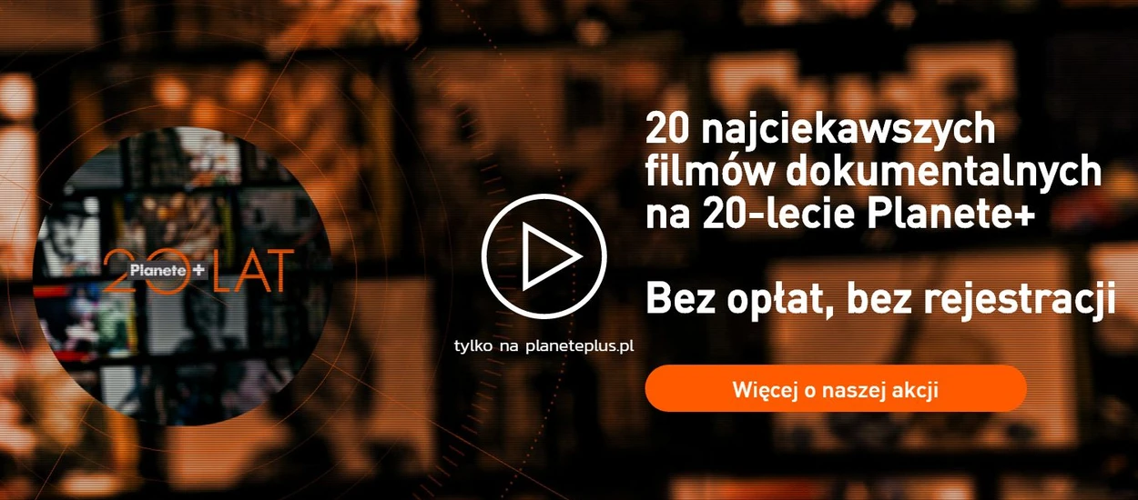 Fani filmów dokumentalnych! Na 20-lecie Planete+ możecie obejrzeć 20 najciekawszych propozycji - za darmo!