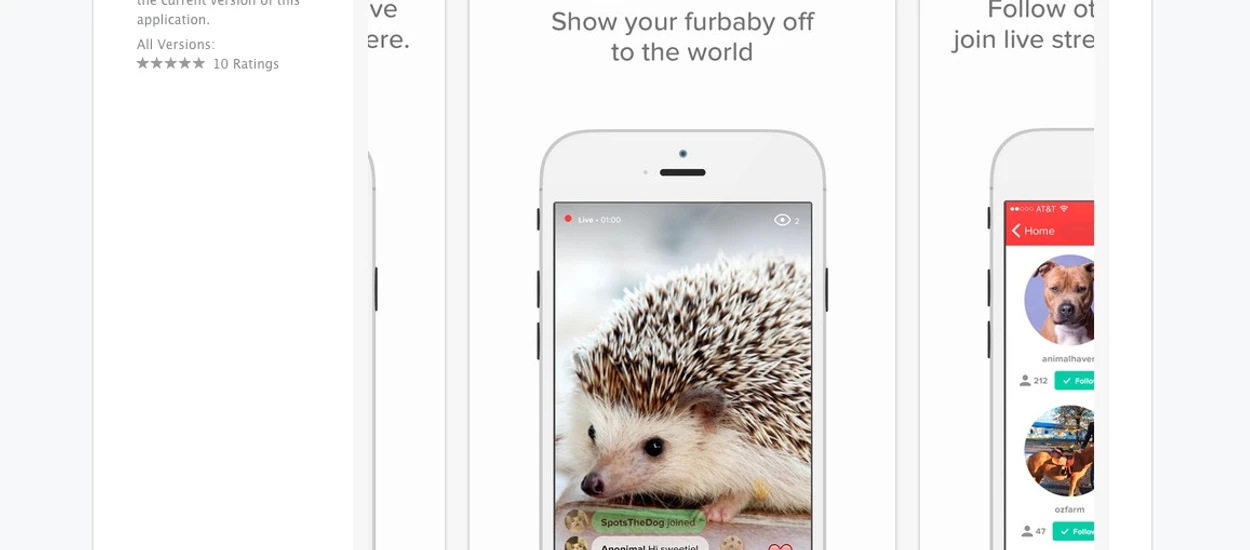 2,3 miliona dolarów dla serwisu społecznościowego transmitującego życie zwierzaków
