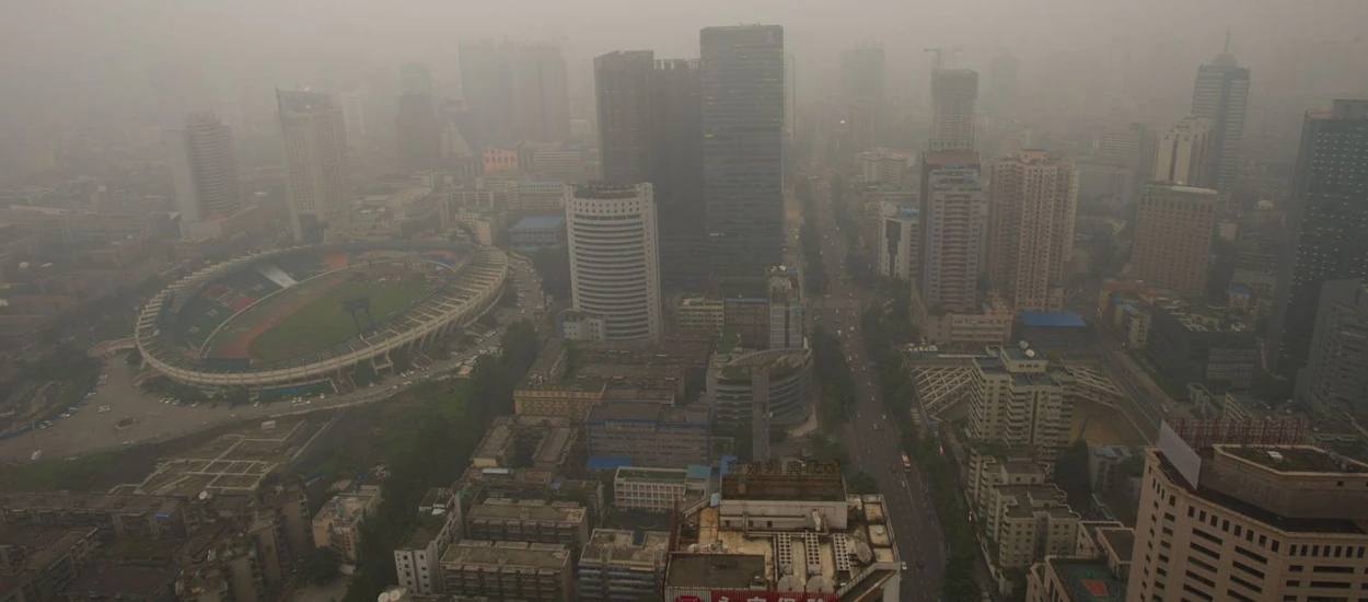 Smog jest na ulicach, ale i wdziera się do naszych domów. Co z tym zrobić?