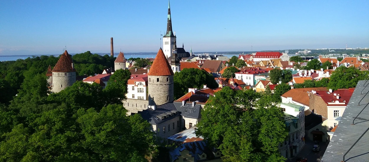 Estonia chce stworzyć konkurencję dla bitcoina. Estcoin będzie bardziej bezpieczny?