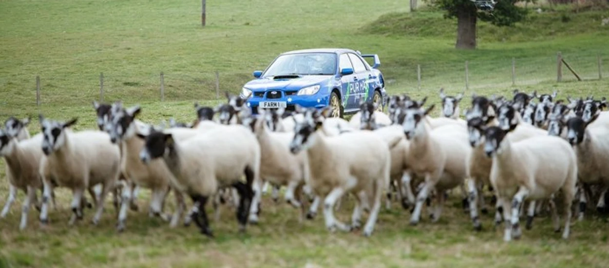 Clarkson pozazdrościł Blockowi - zobaczcie przejazd przez Farmkhanę [od Natalii]