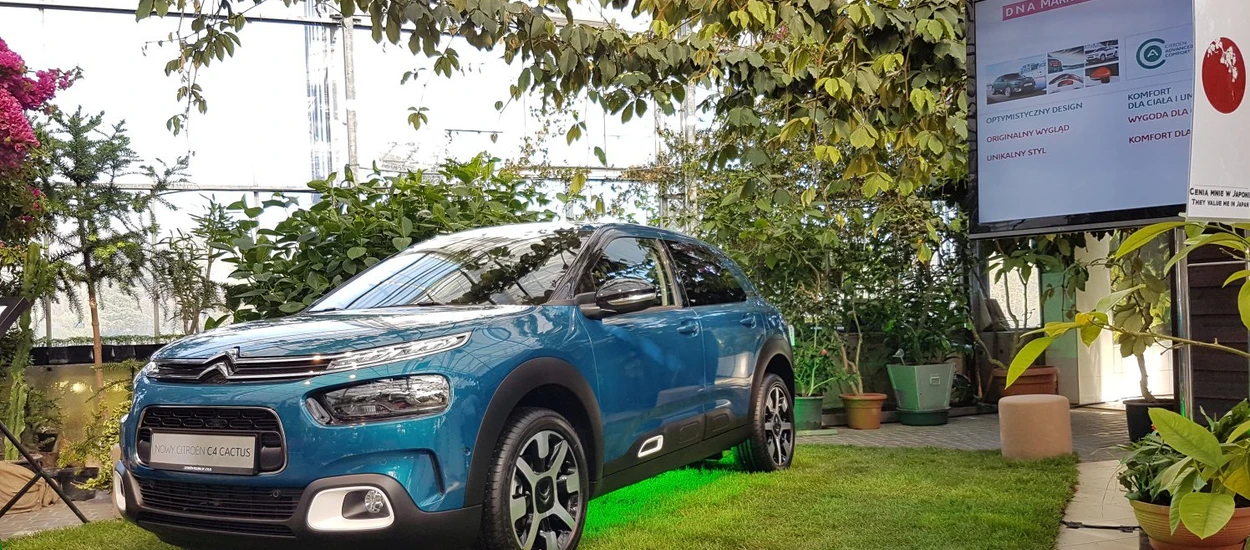 Citroen C4 Cactus: cichy następca klasycznego Citroena C4