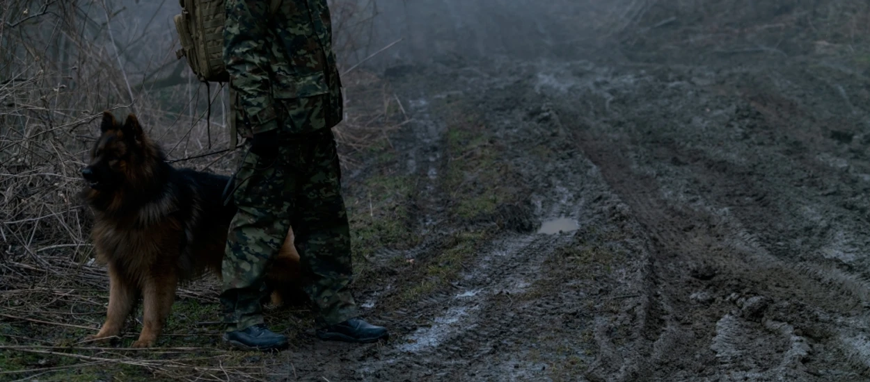 Nadchodzące polskie seriale - oto, na co warto czekać