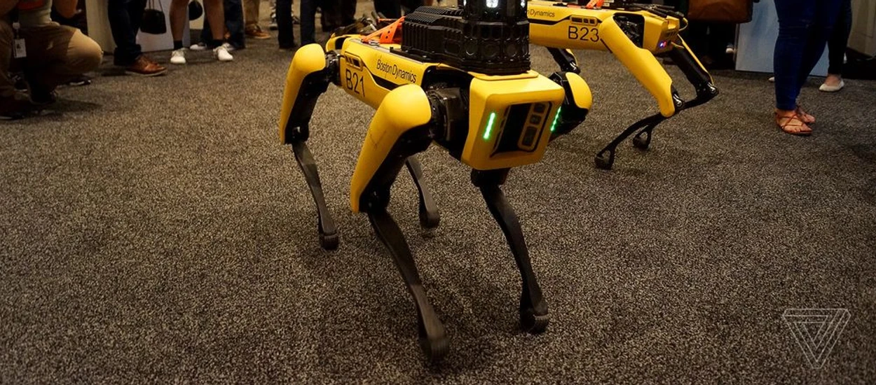 Robotyczne psy Boston Dynamics służą w Policji. Nie chciałbym na żadnego z nich trafić