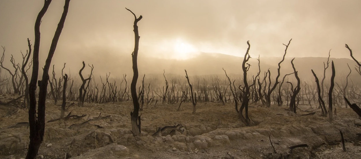 Komu zależy na podważaniu zmian klimatycznych i... ile to kosztuje?