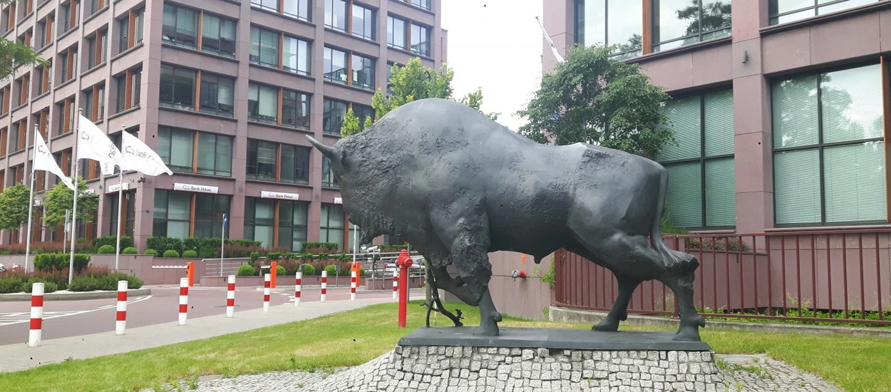 Bank Pekao S.A. rozdaje po 200 zł. Wystarczy tylko założyć u nich konto osobiste na selfie