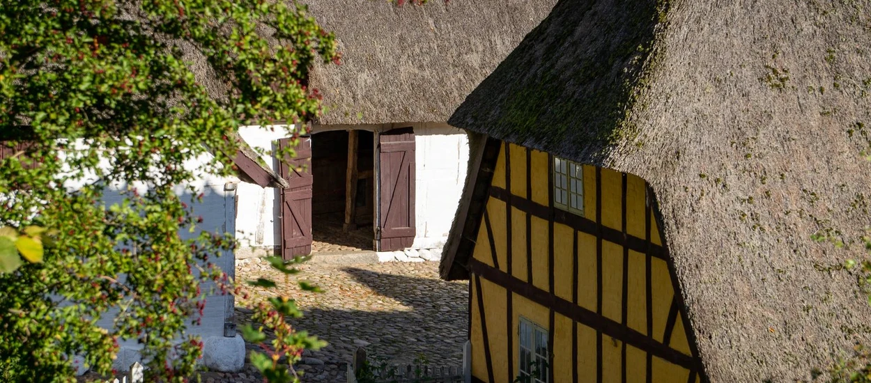 Skansen w e-urzędzie. Witryna rządowa działa tylko na Internet Explorerze