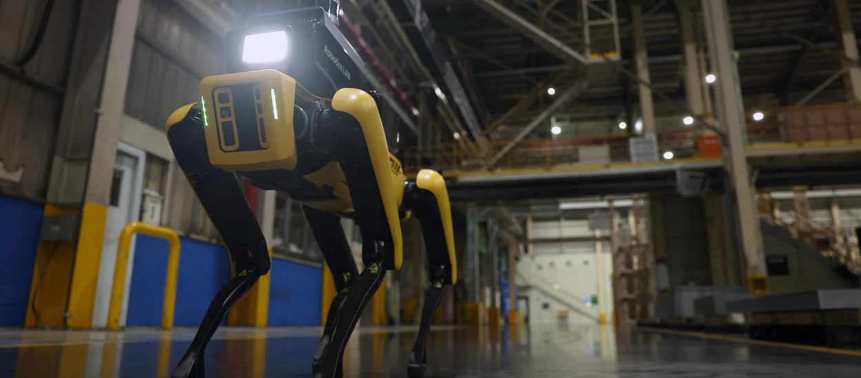 Czworonożny pies-robot Boston Dynamics rusza w tournée po Polsce