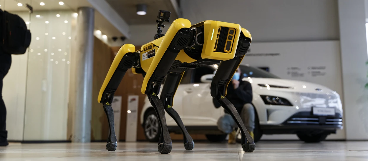 Widzieliśmy robota Boston Dynamics Spot w salonie Hyundai Electrified