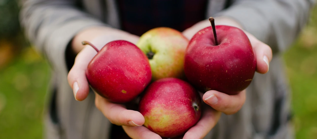 Apple w formie. Gigant pozywa reżysera filmu "Apple-Man"