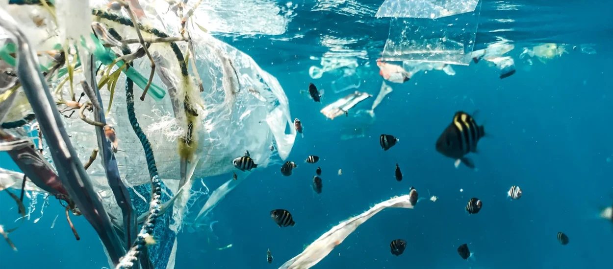 Mogliśmy temu zapobiec. A teraz mikroplastik jest też w naszej krwi