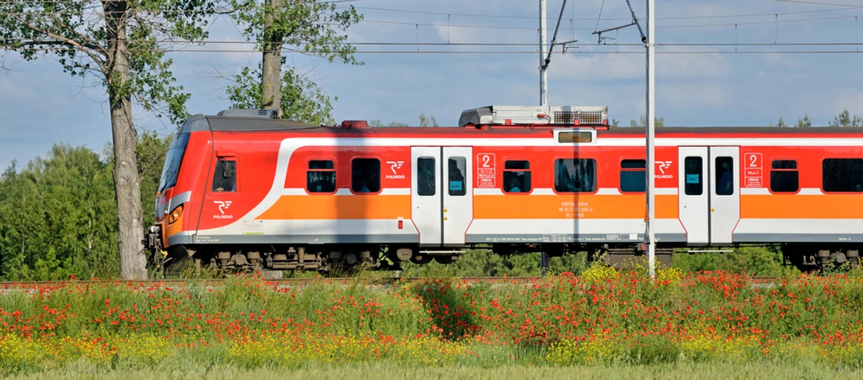 Jeden bilet na cały polski zbiorkom. Za ile mógłbyś go kupić?