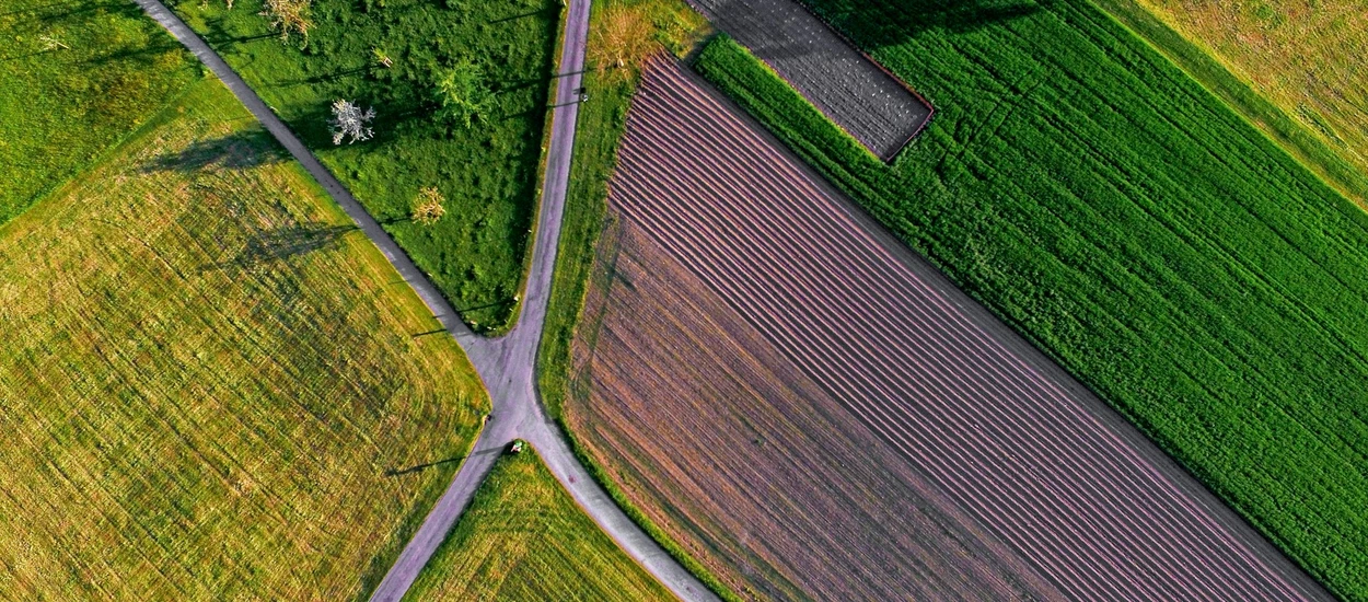 Mobilna ARiMR — rządowa aplikacja dla rolników. Co potrafi?