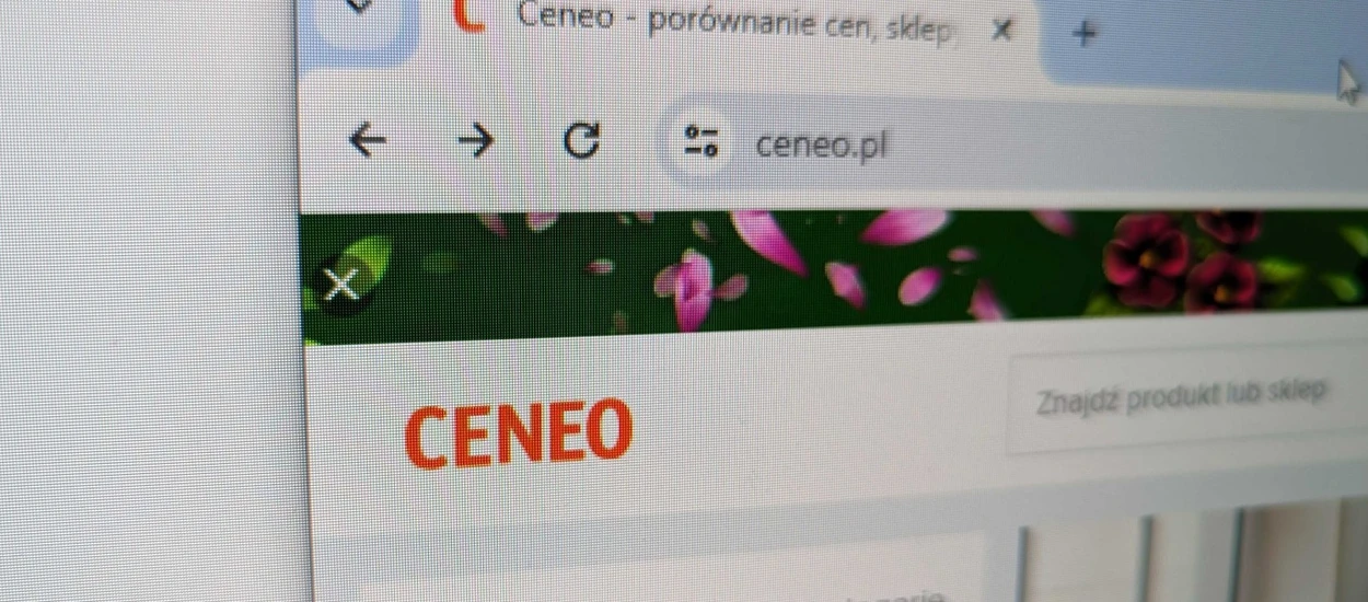 Google dostało po łapach od polskiego sądu. Nie może blokować Ceneo.pl