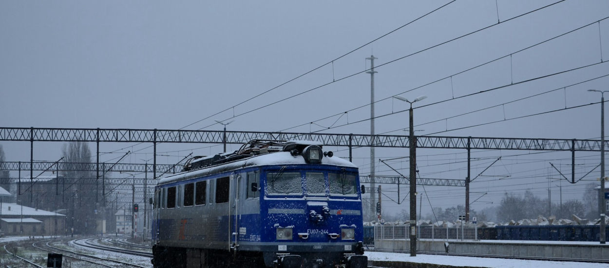 Legitymacja Ulgowych Usług Transportowych w aplikacji mObywatel: Jak ją dodać?