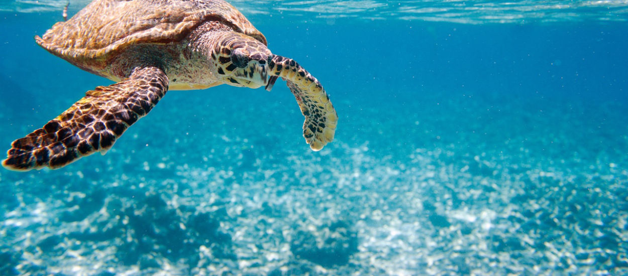 Woda z oceanu będzie zdatna do picia. Już trwają testy
