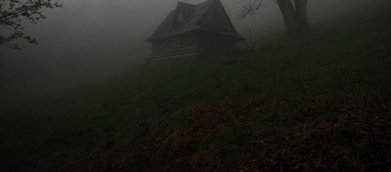 „Blair Witch Project" wraca po 26 latach z oryginalną ekipą twórców