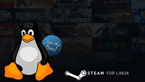 Valve robi niespodziankę na święta - Steam Beta na Linuksa ogólnie dostępny wraz z 39 grami