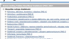 Jak się miewa polska gospodarka? Oto pierwszy internetowy agregator informacji o rodzimych firmach