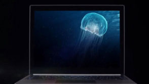Chromebook Pixel - topowy model zaprojektowany przez Google do najmniejszego piksela?