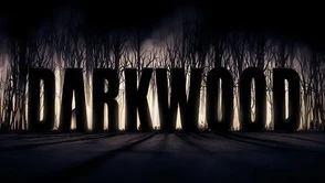 Twórcy "Darkwood" o swojej grze i zbiórce na Indiegogo - "5% odwiedzających naszą stronę to Polacy"