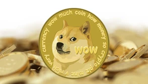 Dogecoiny tak bardzo skradzione