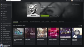 Spotify na cenzurowanym, użytkownicy wściekli, a WiMP w rękach Jay Z