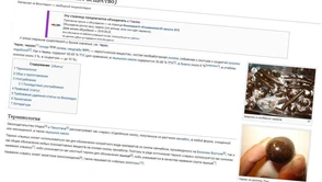 Rosjanie zablokowali Wikipedię i... szybko musieli wycofać się z tej decyzji