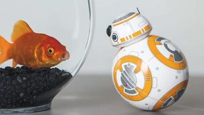 Gadżet dla fanów Gwiezdnych Wojen? Stawiam na BB-8 od Sphero