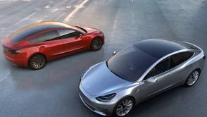 Kilkadziesiąt tysięcy osób zrezygnowało z kolejki po Tesla Model 3