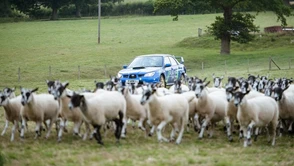 Clarkson pozazdrościł Blockowi - zobaczcie przejazd przez Farmkhanę [od Natalii]