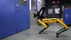 Wow! Roboty Boston Dynamics nauczyły się kolejnej sztuczki