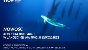 Najwyższa jakość na życzenie - nc+ startuje z kolekcjami 4K w nc+ GO TV