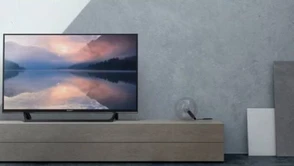 Telewizory w promocyjnych cenach. Na przykład Sony KDL-32RE400 za 1049 zł