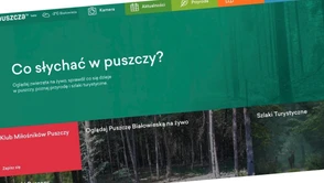 Skok na 7 milionów złotych? Sprawdzamy portal Puszcza.tv