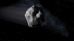 Jak uratować Ziemię przed asteroidą? NASA i inne agencje przeprowadzą symulację zbliżającego się kataklizmu