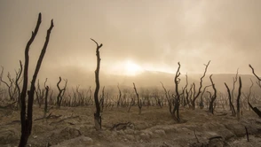 Komu zależy na podważaniu zmian klimatycznych i... ile to kosztuje?