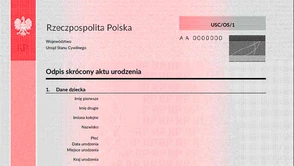 Moje boje z ePUAP czyli jednak zgłosiłem narodziny dziecka przez internet. Poszło lepiej niż z BMW, ale ciągle jest co poprawić