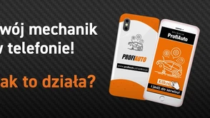 ProfiAuto - naprawa czy przegląd samochodu u mechanika bez wychodzenia z domu