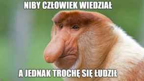 Nosacz sundajski jako stereotypowy Polak + najlepsze aplikacje do memów