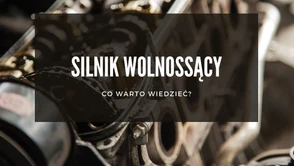 Silnik wolnossący - jak działa i co go wyróżnia?